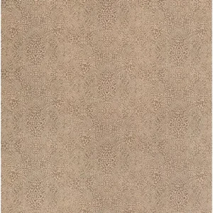 Osborne & Little Wallpaper Margay W7970-08