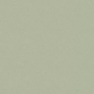 Crown Wallpaper Heritage Plain M1837