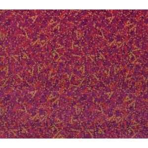 Clarissa Hulse Fabric Maidenhair Vine velvet CHMAIDENHAIRSU