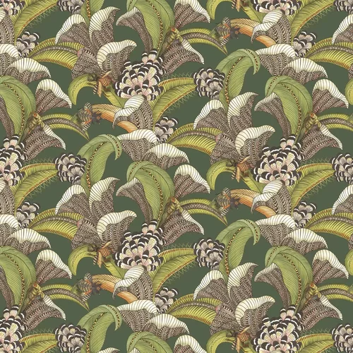 Cole & Son Wallpaper Hoopoe Leaves 119/1003