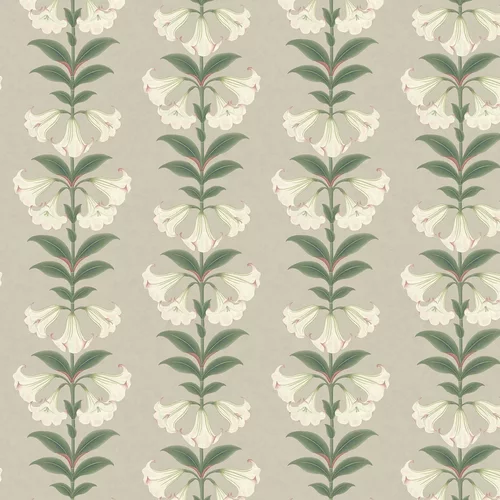 Cole & Son Wallpaper Angel's Trumpet 117/3007