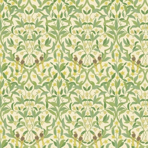 Cole & Son Wallpaper Jasmine & Serin Symphony 117/10031