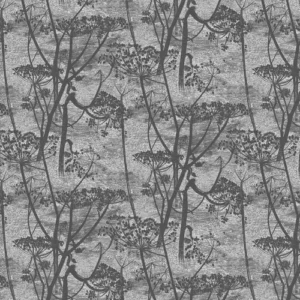 Cole & Son Wallpaper Cow Parsley 112/8026