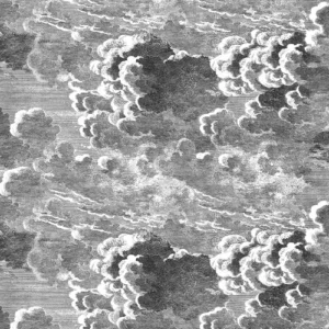 Cole & Son Wallpaper Nuvolette 114/28054