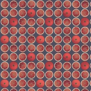 Cole & Son Wallpaper Arance 114/24046