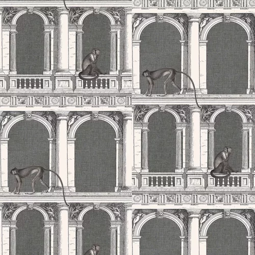 Cole & Son Wallpaper Procuratie e Scimmie 114/21041