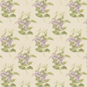 Cole & Son Wallpaper Madras Violet 100/12056