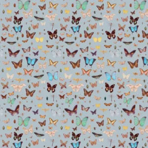 Ella Doran Wallpaper Bugs and Butterflies Bugs and Butterflies