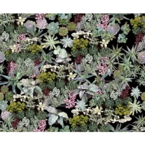 Ella Doran Wallpaper Surreal Succulents Surreal Succulents