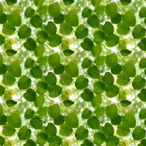 Ella Doran Wallpaper Sunlight Through Leaves Sunlight