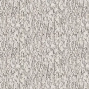 Nina Campbell Wallpaper Kershaw Plain NCW4204/01