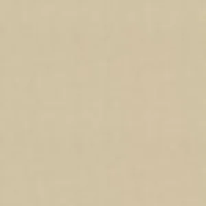 Osborne & Little Wallpaper Zingrina W6582-08