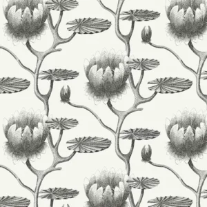 Cole & Son Wallpaper Lily 95/4020