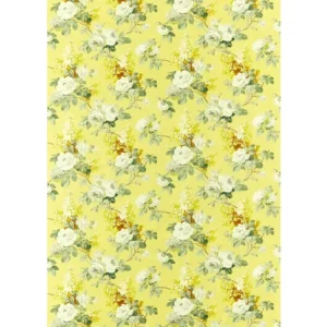 Sanderson Fabric Sorilla 226861