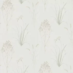 Sanderson Wallpaper Farne Grasses 216488
