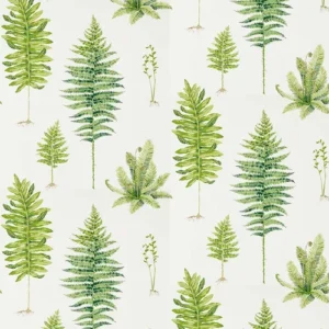 Sanderson Wallpaper Fernery 216633