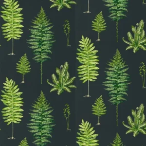 Sanderson Wallpaper Fernery 216634