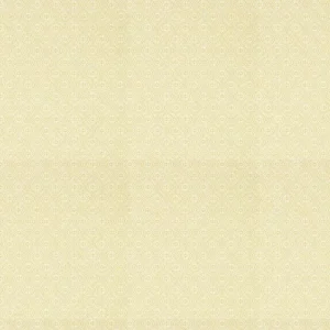 Sanderson Wallpaper Pinjara Trellis 216786