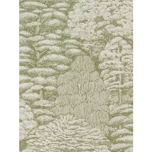 Sanderson Wallpaper Woodland Toile 215720