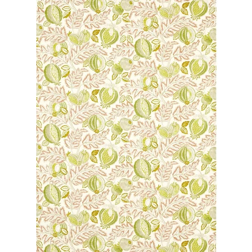 Sanderson Fabric Cantaloupe 227198