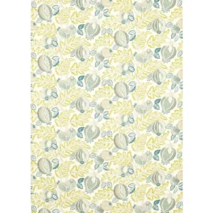 Sanderson Fabric Cantaloupe 227196