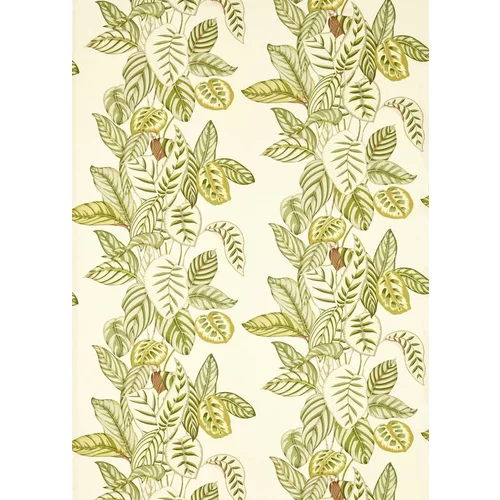 Sanderson Fabric Calathea 227189
