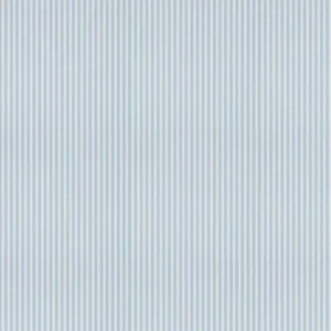Sanderson Wallpaper New Tiger Stripe DCAVTP106