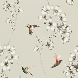 Harlequin Amazilia Hummingbird Wallpaper Silver / White HAMA111062