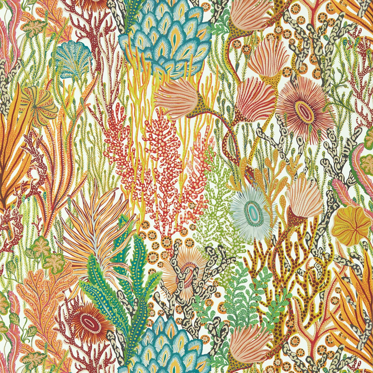 Harlequin Acropora Coral Wallpaper Brazilian Rosewood/Nectar/Tree Canopy HTEW112779
