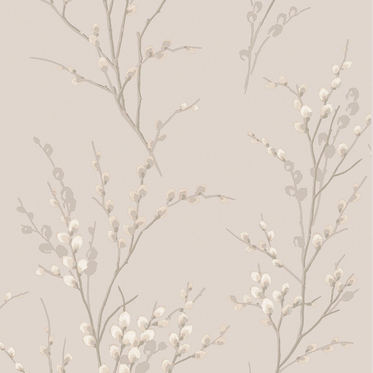 Laura Ashley Pussy Willow Wallpaper Dove Grey 113361