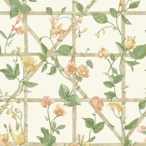 Trailing Floral Trellis Wallpaper Orange / Cream Holden 14200