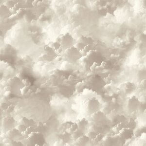 Vanilla Skies Wallpaper Neutral Arthouse 100189AH